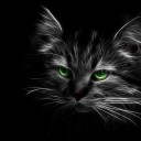 Виктор Васильев