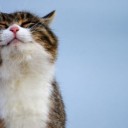 Иван Скорпион