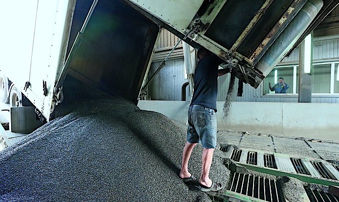 Регистрацию экспортных контрактов на агропродукцию хотят снова сделать обязательной. Это потребует от трейдеров дополнительных затрат, но облегчит поиск новых рынков сбыта