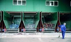 Сборщикам бытовых отходов предлагают первую лизинговую программу для обновления спецтехники