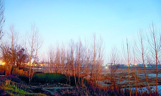 Суд поставил под сомнение успешную реализацию крупнейшего проекта на левом берегу Киева — многофункционального комплекса «Вырлица»