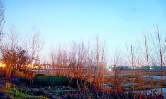 Суд поставил под сомнение успешную реализацию крупнейшего проекта на левом берегу Киева — многофункционального комплекса «Вырлица»