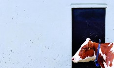 Регулятор допустил акции компании «Укрпродукт» на отечественный фондовый рынок