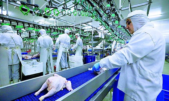Крупнейший экспортер курятины постепенно снижает объемы поставок в Таможенный союз