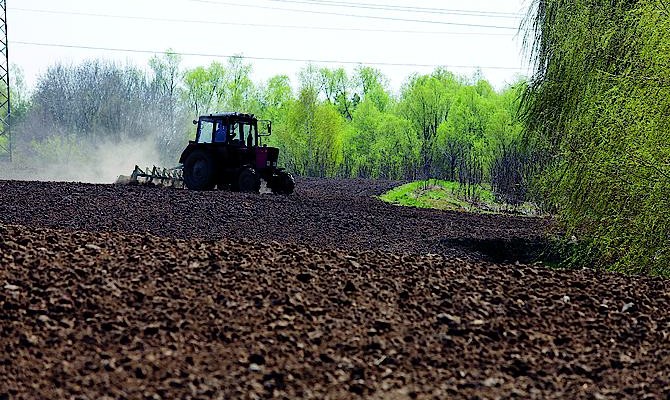 Агрохолдинги обяжут иметь местную прописку