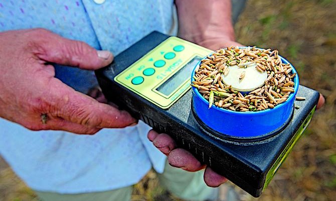 Кабмин намерен упростить сертификацию качества зерна при экспорте и внутренних поставках. Агротрейдеры сэкономят