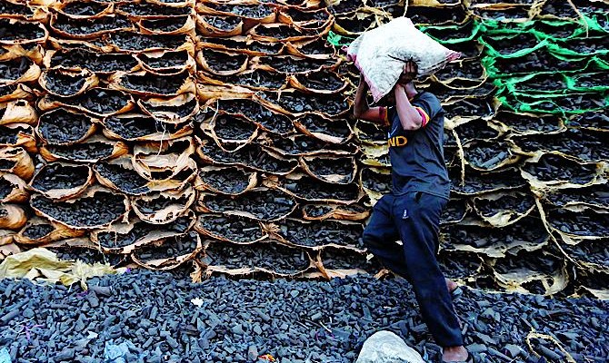 Минэнерго намерено ограничить импорт угля