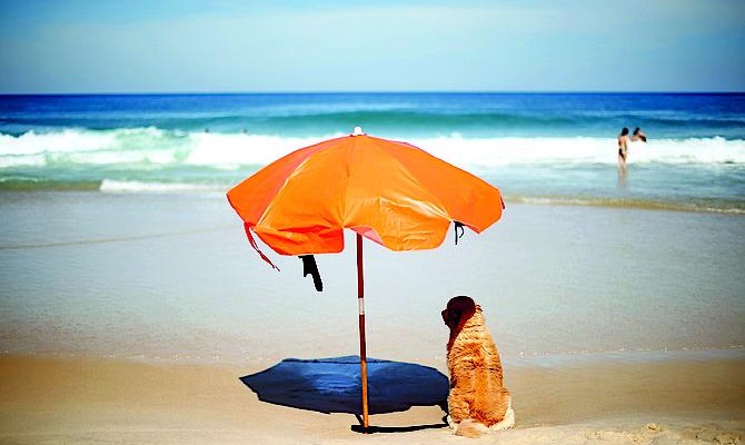 Туроператоры отказываются от горящих путевок