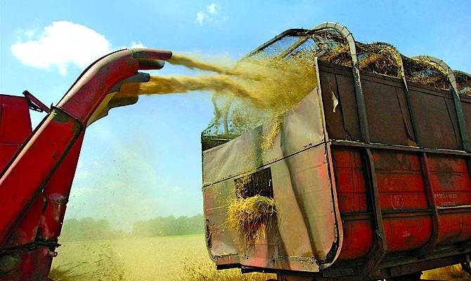 KSG Agro несвоевременно опубликовал отчет, что может отпугнуть инвесторов