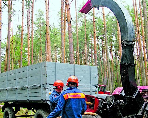 Кабмин разрешил льготный ввоз оборудования для одной биотопливной ТЭС