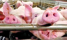 Потери экспорта в страны Таможенного союза все еще опережают рост продаж в ЕС