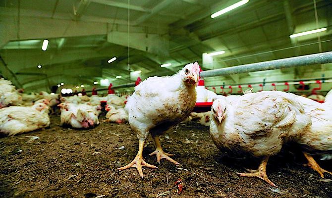 Украинцам разрешили покупать иностранные акции