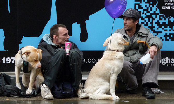 Безработица в еврозоне обновила рекорд