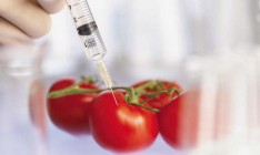 В Украине появятся лаборатории проверки продуктов на ГМО