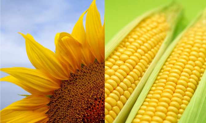 "Агролига" намерена провести сплит акций в расчете 1:5