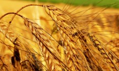 Украина собирается запретить транзит зерна из России