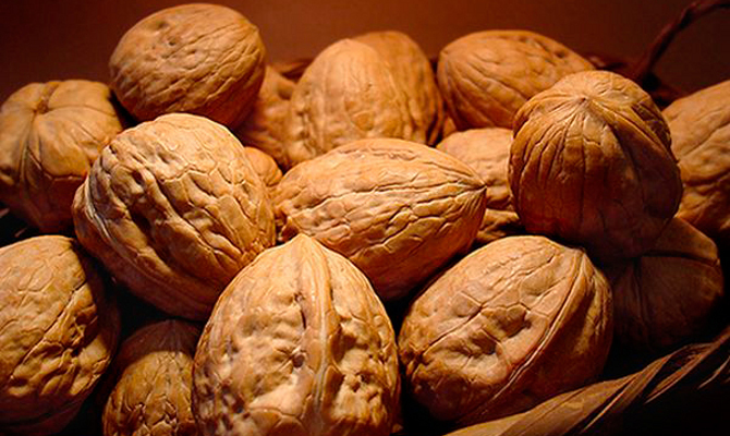 Турция повысила пошлины на импорт украинских орехов