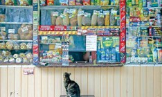 Минэкономики разработало новые правила внутренней торговли. Нововведения коснутся более миллиона предпринимателей