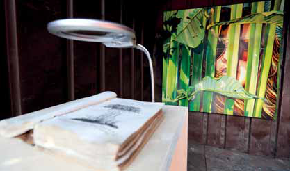 «Lost» Маши Шубиной в ботаническом саду