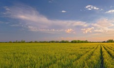 Госзебанк намерен поднять цену сельхозземли в 60 раз