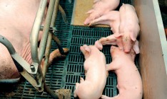 МЭРТ разработало порядок отбора приоритетных инвестпроектов