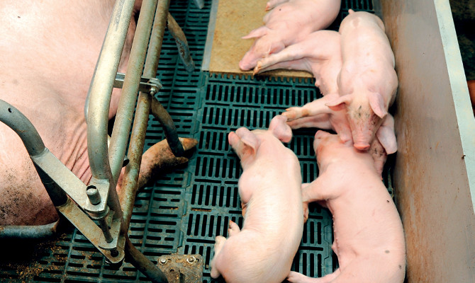 МЭРТ разработало порядок отбора приоритетных инвестпроектов