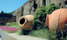 Подешевевшие авиаперелеты сделали великолепную грузинскую кухню и отменное вино ближе и доступней украинцам