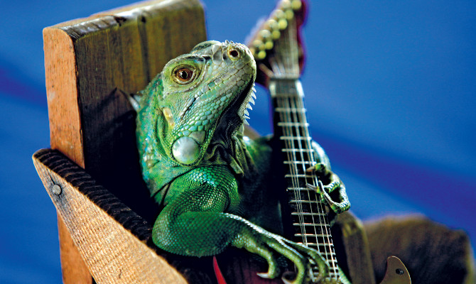 В канун сезона отпусков места в отелях для животных расписаны на месяцы  вперед