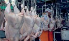 Компаниям «Мироновский хлебопродукт» и «Агромарс» разрешили экспортировать курятину в страны Таможенного союза