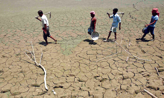 Сахар придает горечь засухе в Индии