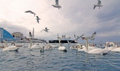 В Крыму отчитались о рекордном количестве отдыхающих в зимний сезон