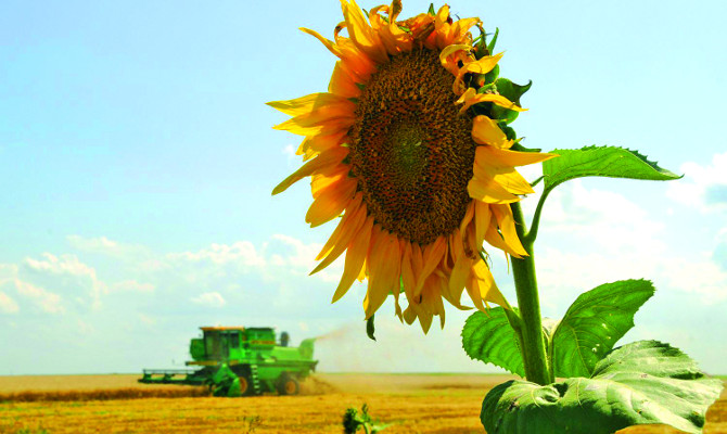 Экономика четвертый квартал демонстрирует спад