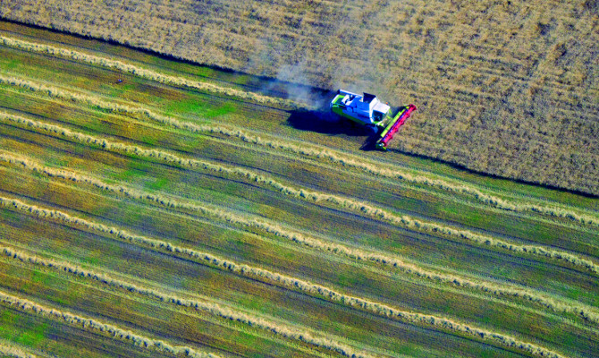 Сегодня наблюдательный совет Госзембанка назовет председателя правления. Наибольшие шансы у Светланы Скосырской