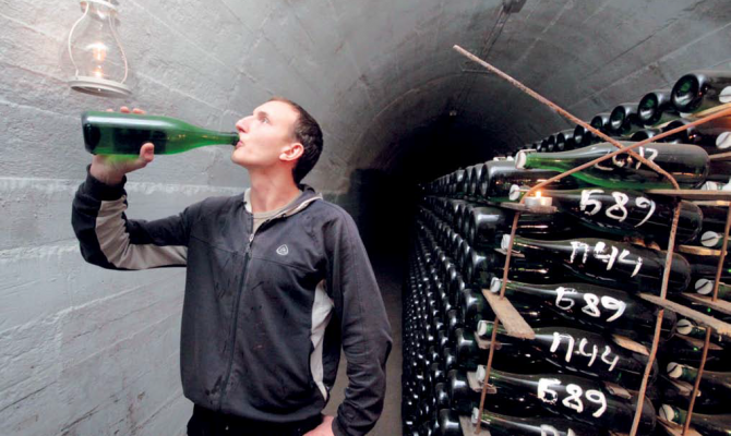 Высокая плата за вход в продуктовую розницу и растущий импорт поставили небольших производителей вина на грань выживания