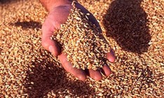 Таможни оформляют экспорт зерновых по упрощенной схеме