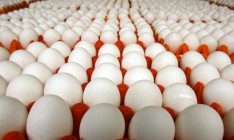АМКУ призвал 11 птицефабрик не завышать цены на яйца
