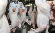 МХП намерена до сентября возобновить поставки мяса в Казахстан