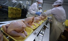 Нарушений в продукции Мироновской птицефабрики не выявлено