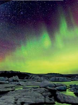 Остров сокровищ