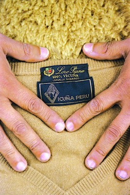 «Мартингал для отличника»