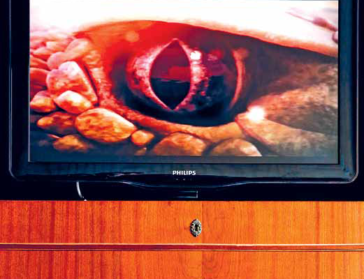 Видеосервис oll.tv Рината Ахметова будет транслировать через интернет 35 телеканалов