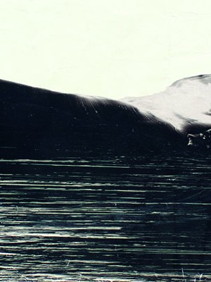 Давайте вполголоса