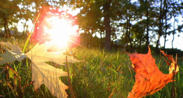 Украинцам обещают лишь пару теплых дней в октябре