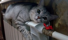 Отопительный сезон в столице начнется с 30 сентября