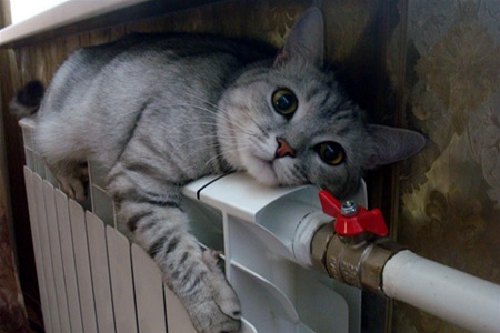 Отопительный сезон в столице начнется с 30 сентября