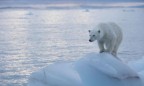 Ученые предупредили о «беспрецедентном» изменении климата через 30 лет