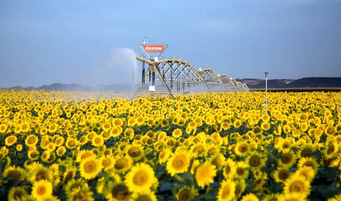 Украина возьмет у Китая кредит на $3 млрд