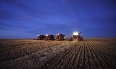 В Украине почти 14% сельхозземель используются незаконно