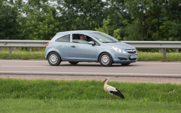 Парламент одобрил передачу автодорог местным властям