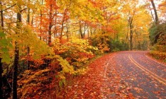 С 15 октября в Украину возвращаются дожди